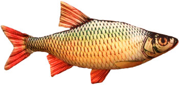 Игрушка "Краснопёрка" в виде рыбы (40 см)