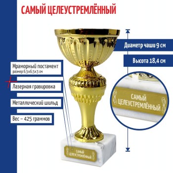 Статуэтка Кубок "Самый целеустремлённый" на мраморном постаменте (18,4 см)