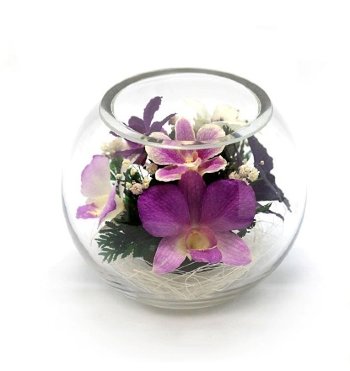 Орхидеи в стекле (12 х 9 х 9 см) 