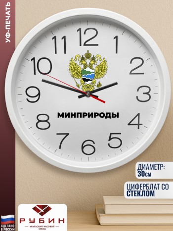 Настенные часы "Минприроды" Минприроды