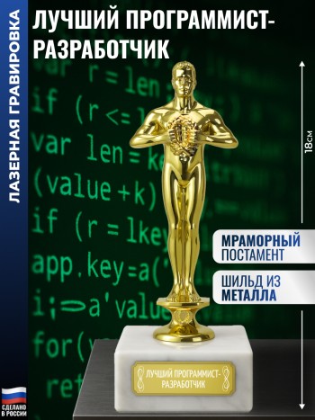 Статуэтка Фигура "Лучший программист-разработчик" (18 см)