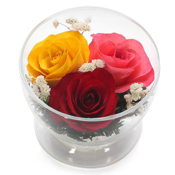 Розы в стекле. (красная, розовая, желтая)  (7 x 8.5 x 8.5 см)