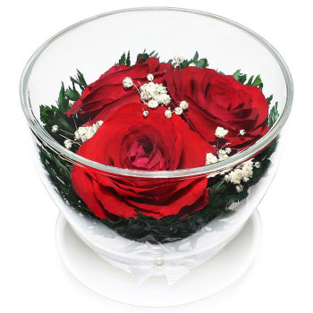 Красные Розы в стекле. (8,5 х 8,5 х 7 см)