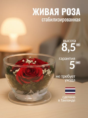 Красные Розы в стекле (8,5 х 8,5 х 7 см)