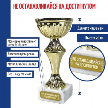 Статуэтка Кубок "Не останавливайся на достигнутом" на постаменте (20 см)