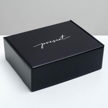 Подарочная коробка "Present" (27 х 21 х 9 см, цветная внутри)