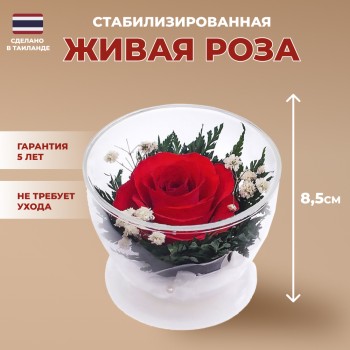 Красная роза в стекле (8,5 х 8,5 х 6 см)
