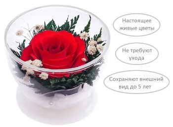 Красная роза в стекле (8,5 х 8,5 х 6 см)