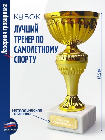 Кубок "Лучший тренер по самолетному спорту" (18,4 см)