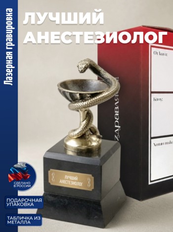 Кубок Врачу "лучший анестезиолог" бронза, змеевик