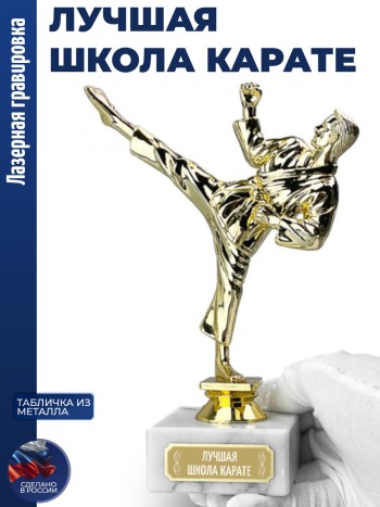 Статуэтка Карате "Лучшая школа карате" (19,5 см)