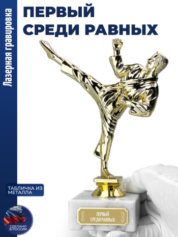 Статуэтка Карате "Первый среди равных" (19,5 см)
