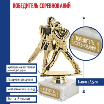 Статуэтка Дзюдо "Победитель соревнований" на мраморном постаменте (16,5 см)