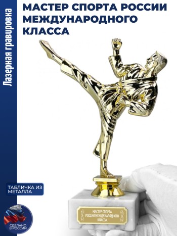 Статуэтка Карате "Мастер спорта россии международного класса" (19,5 см)