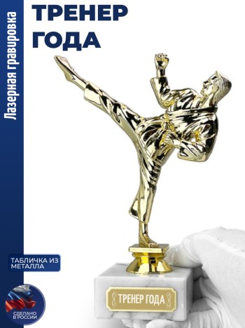 Статуэтка Карате "Тренер года" (19,5 см)