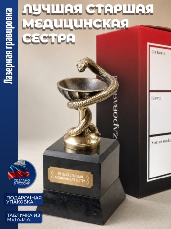 Кубок Врачу "лучшая старшая медицинская сестра" (бронза, змеевик)