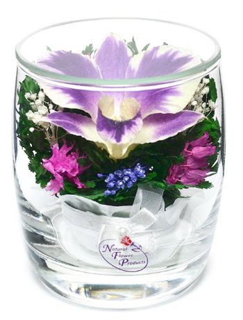 Орхидея в стекле SMO2 (8.5 см)