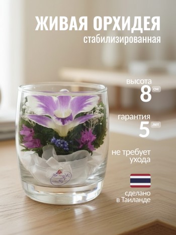 Орхидея в стекле (8 x 7 x 7 см)