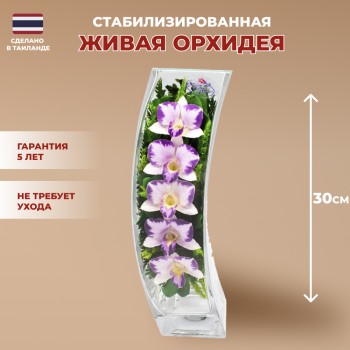 Орхидеи в стекле. (30 x 10.5 x 10.5 см)