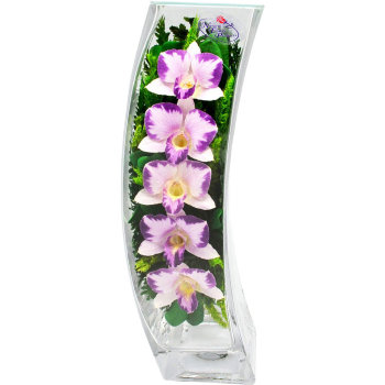 Орхидеи в стекле SqCO (30 x 10.5 x 10.5 см)