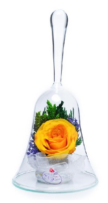 Роза в стекле ObSRy (колба в виде колокольчика, 14 x 8 x 8 см)