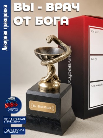 Кубок Врачу "Вы - врач от бога" (бронза, змеевик)