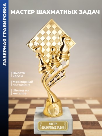 Кубок шахматы "Мастер шахматных задач" (23,5 см)