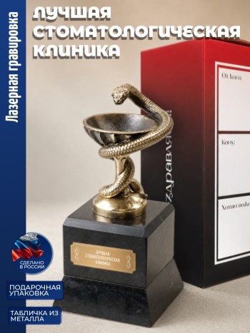 Кубок Врачу "Лучшая стоматологическая клиника" (бронза, змеевик)