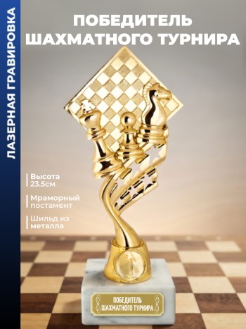 Кубок шахматы "Победитель шахматного турнира" (23,5 см)