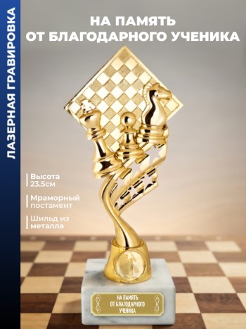 Кубок шахматы "На память от благодарного ученика" (23,5 см)