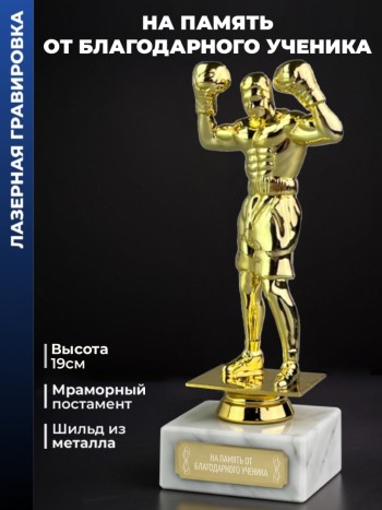 Статуэтка Бокс "На память от благодарного ученика"