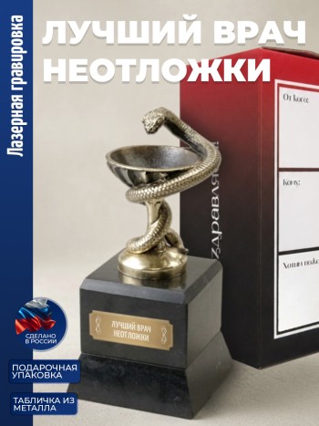 Кубок Врачу "лучший врач неотложки" бронза, змеевик