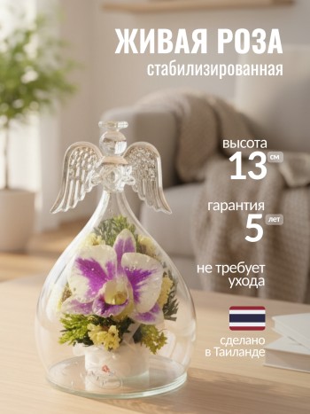 Орхидея в стекле (колба в виде ангела, 13 х 8 х 8 см)
