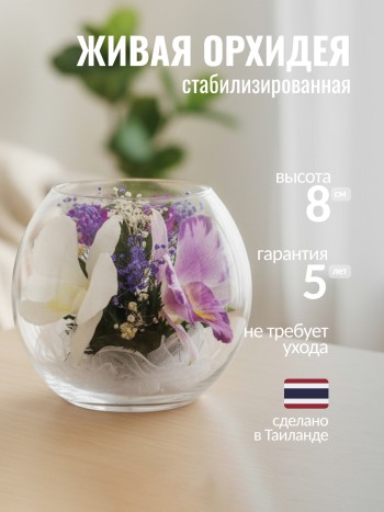 Орхидеи в стекле (8 x 9 x 9см)