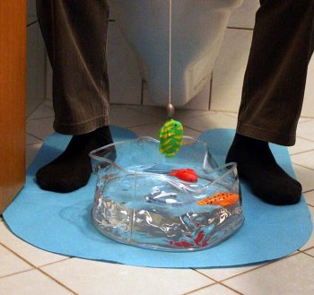 Игра для туалета "Рыбалка" (коврик, аквариум, удочка, 4 рыбки, табличка)