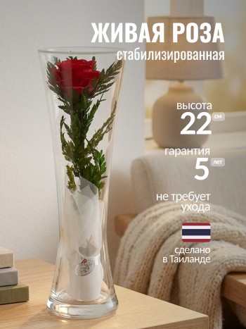 Композиция из роз в стекле (выс. 22 см, диам. 7 см)