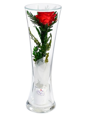 Композиция из роз в стекле (выс. 22 см, диам. 7,5 см)