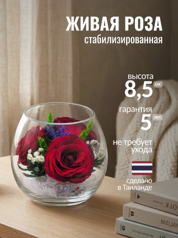 Композиция из роз в стекле (выс. 8,5 см, диам. 9 см)
