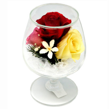 Розы в стекле. (красная, розовая, желтая) (12 x 8.5 x 8.5 см)