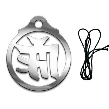 Подвеска с кулоном "Щит от злых языков" из стали на шнурке