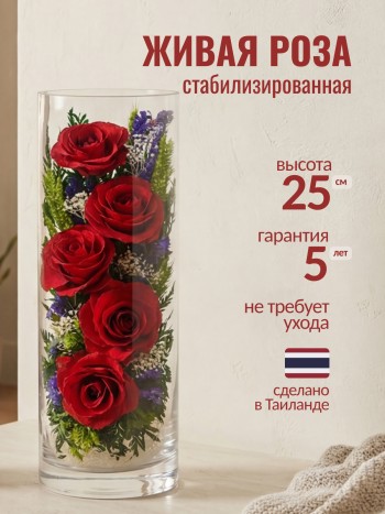Композиция из роз в стекле (выс. 25 см, диам. 9 см)
