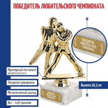 Статуэтка Дзюдо "Победитель любительского чемпионата" на мраморном постаменте (16,5 см)