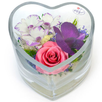 Роза и орхидеи в стекле. (колба в виде сердца (9 x 12.5 x 12.5 см)