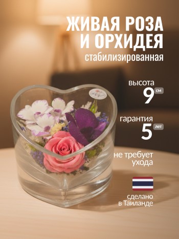 Роза и орхидеи в стекле (колба в виде сердца (9 x 12,5 x 12,5 см)