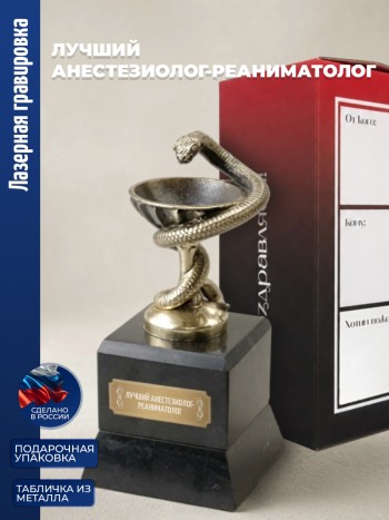 Кубок Врачу "Лучший анестезиолог-реаниматолог" бронза, змеевик