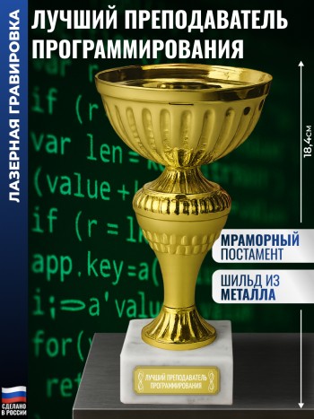 Кубок "Лучший преподаватель программирования" (18,4 см)