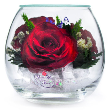 Красные розы в стекле (9 х 9 х 8 см)
