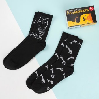 Набор мужских носков "Бездарность" (2 пары, размер 41-44)