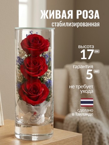 Композиция из роз в стекле (выс. 16 см, диам. 6 см)