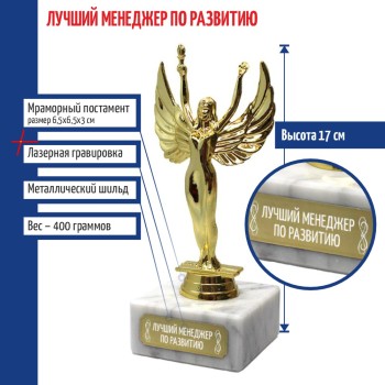 Статуэтка награда Жен. "Лучший менеджер по развитию" (17 см)